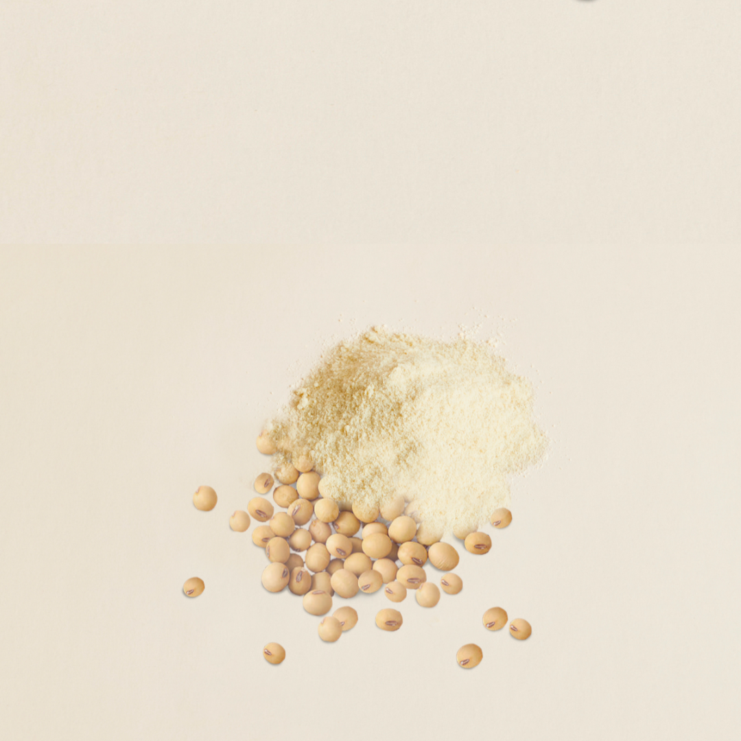 Soy Milk Bulk 3.2kg / 40L